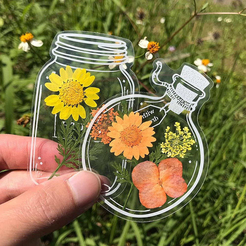 30Pcs DIY Transparent Dried Fl - đánh giá và giá Dried Flower Bookmark