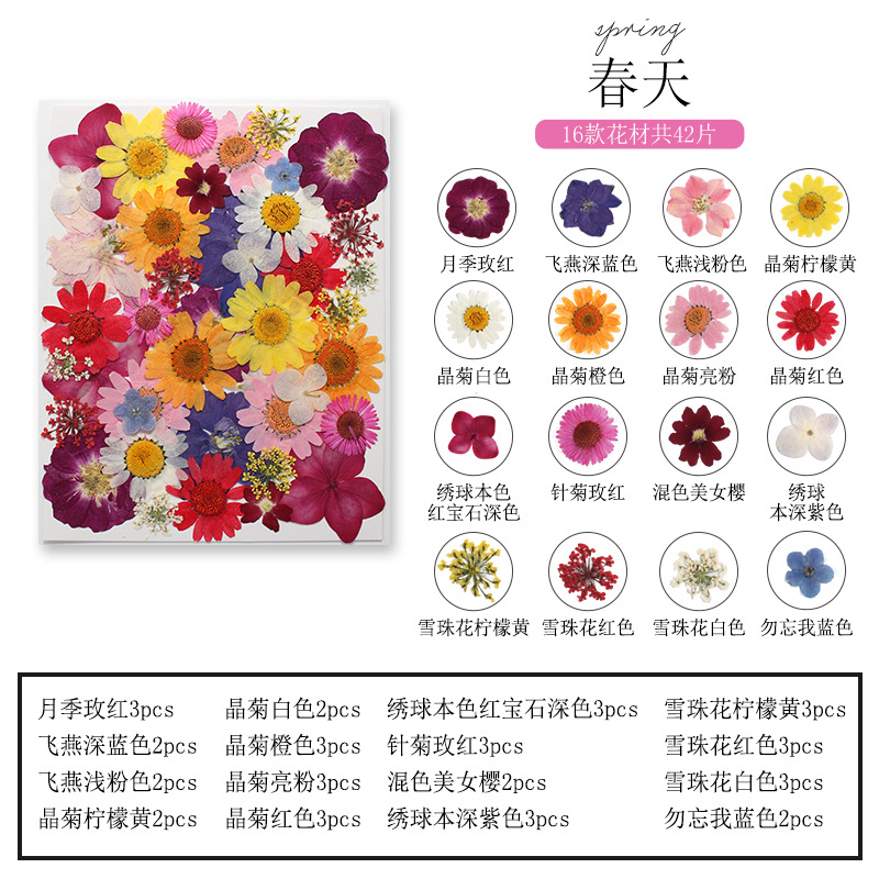 Natural Plant Flower and Leaf  - đánh giá và giá Dried Flower Bookmark