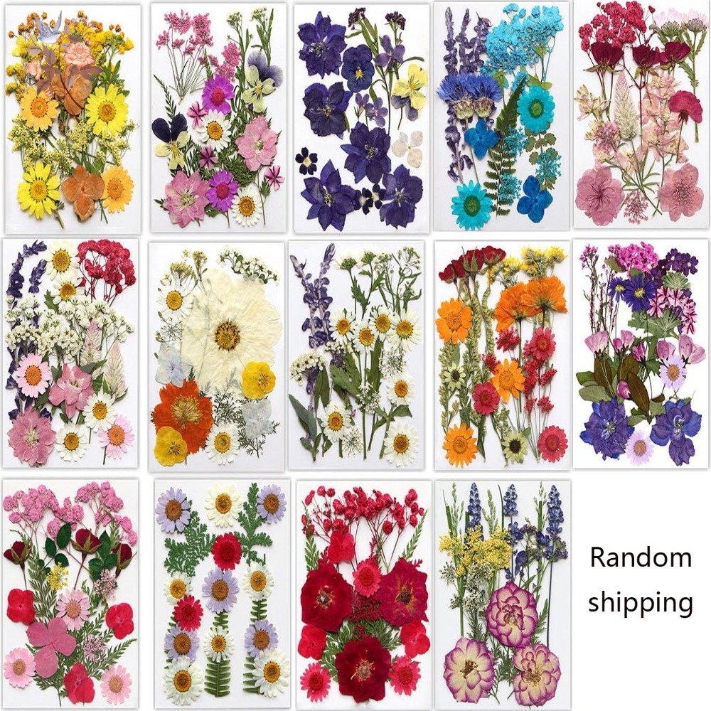 Handmade Pressed Dried Flowers - đánh giá và giá Dried Flower Bookmark